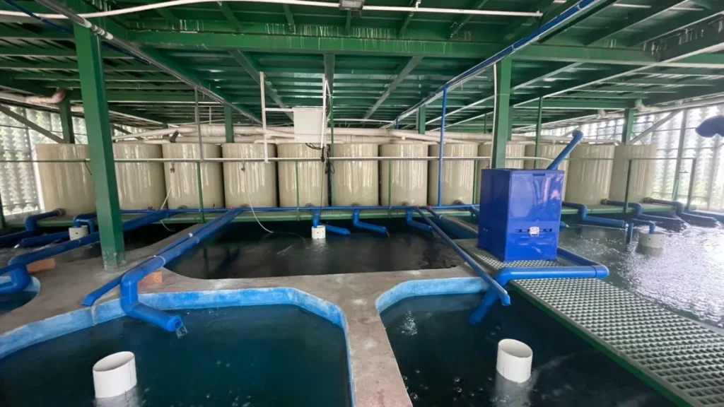 ras aquaculture