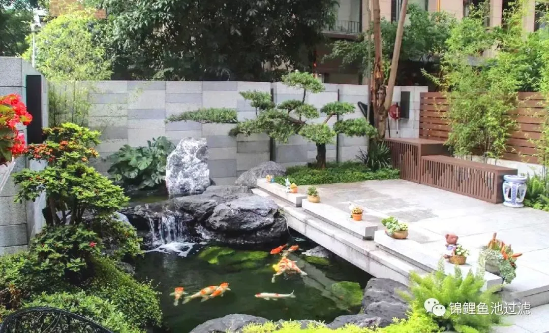 koi pond backyard