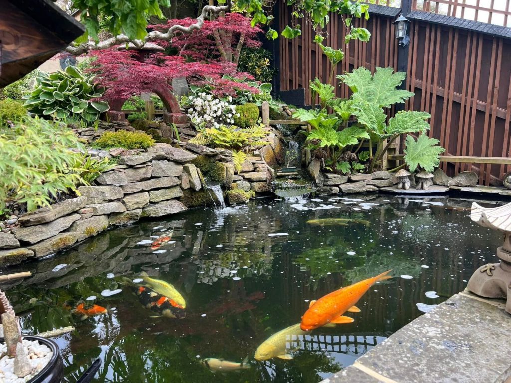 Koi Ponds