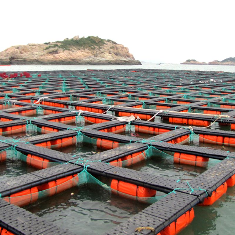 How Advanced Pond Filters Are Transforming Fish Farms