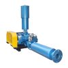 Aquaculture Fishing Farm Three-Lobe Roots Air Blower - Image 6
