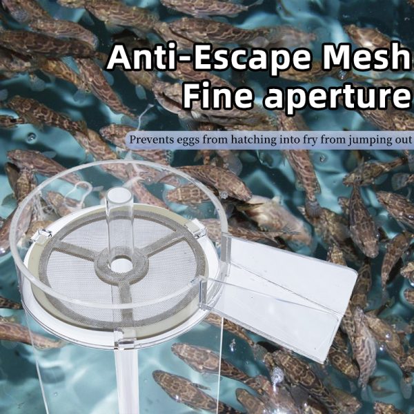 QihangRAS Aquaculture Fish Egg Incubator Hatching Jar - Image 5