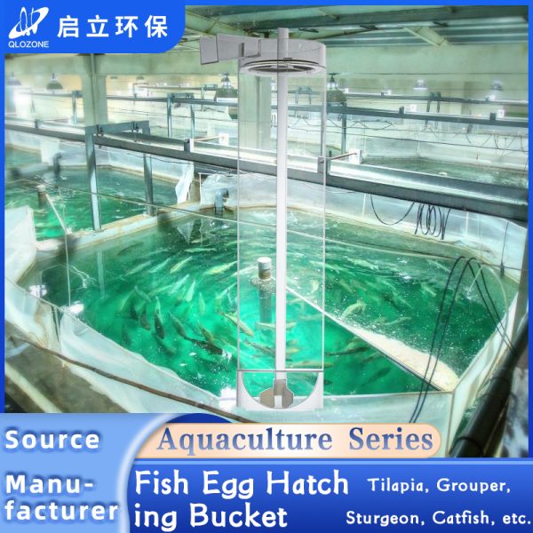 QihangRAS Aquaculture Fish Egg Incubator Hatching Jar - Image 3